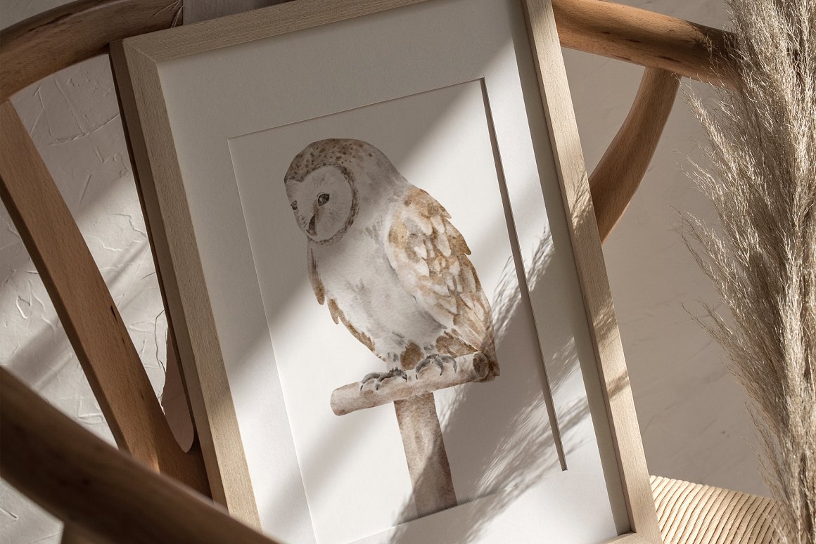 Print on a picture with an owl.