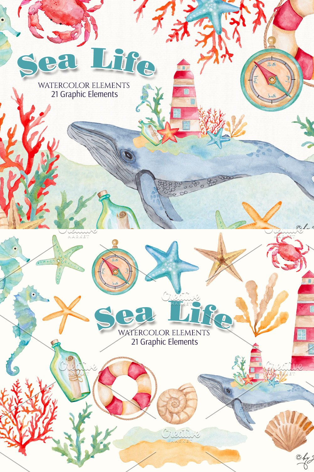 Illustrations sea life watercolor of pinterest.