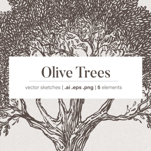Images preview set of illustrations of olive trees.