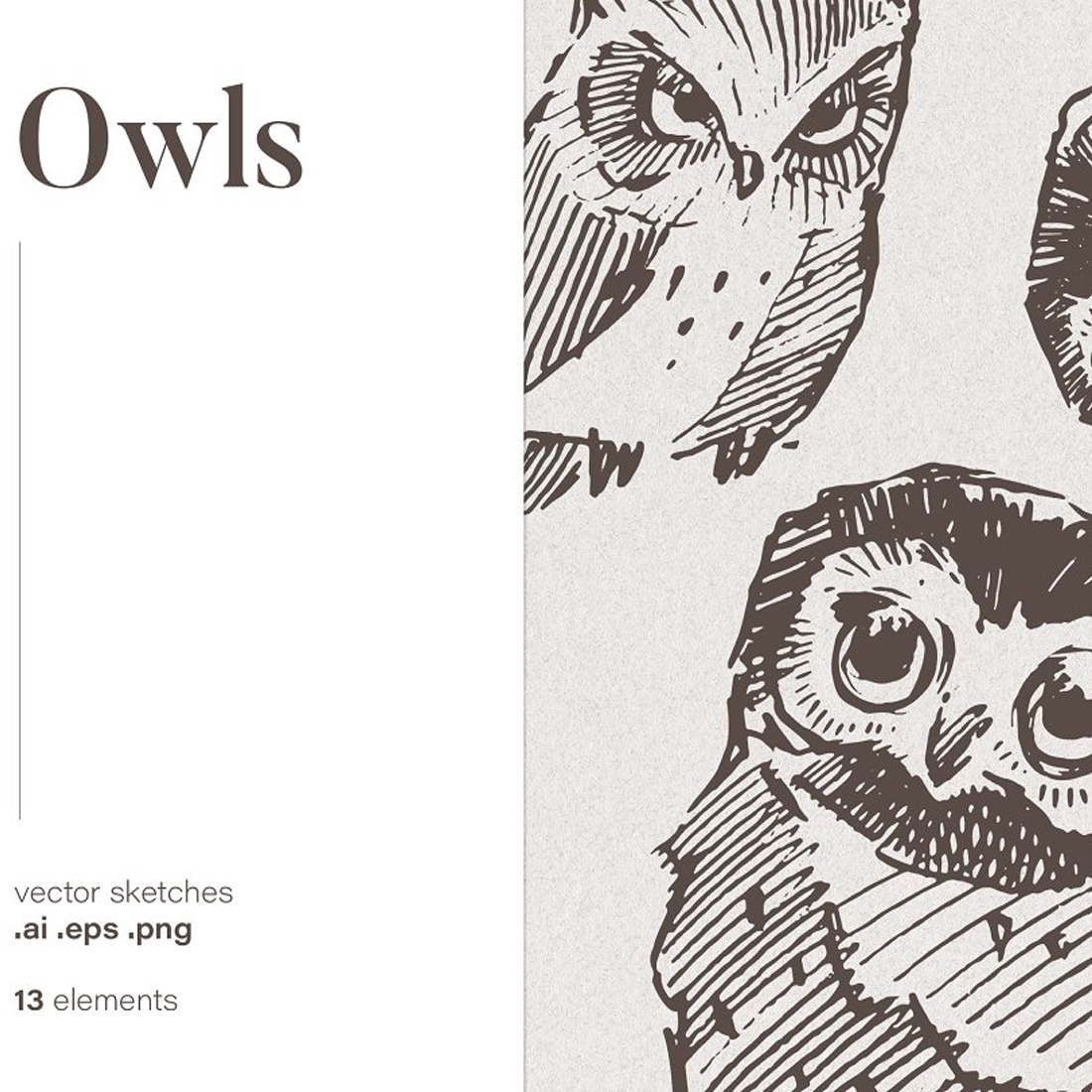 Images preview set of owl illustrations.