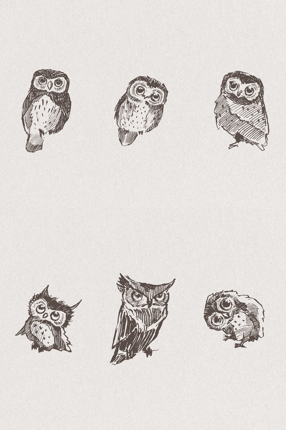 Illustrations set of owl illustrations pinterest.