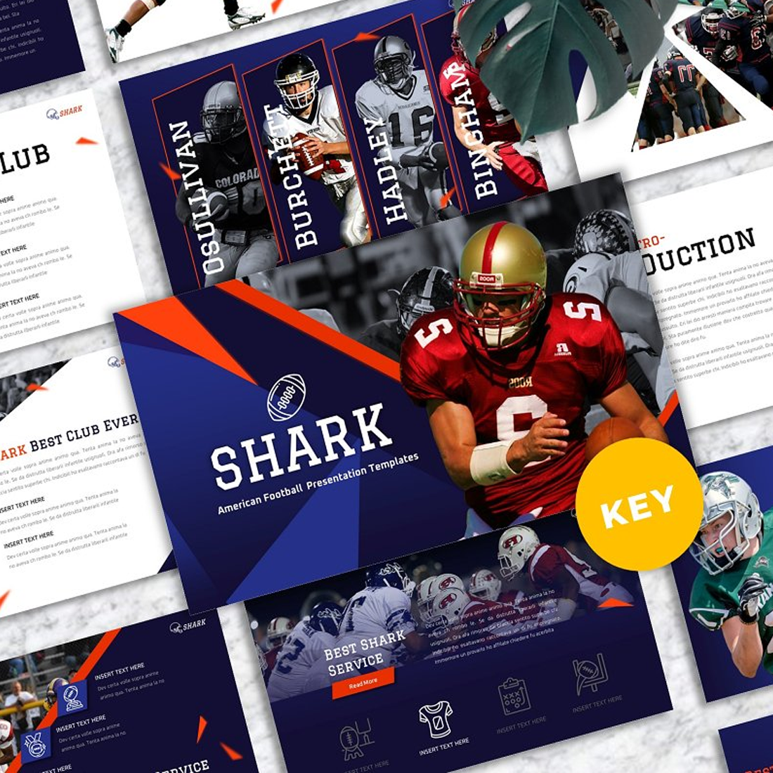 Images preview shark american football keynote.
