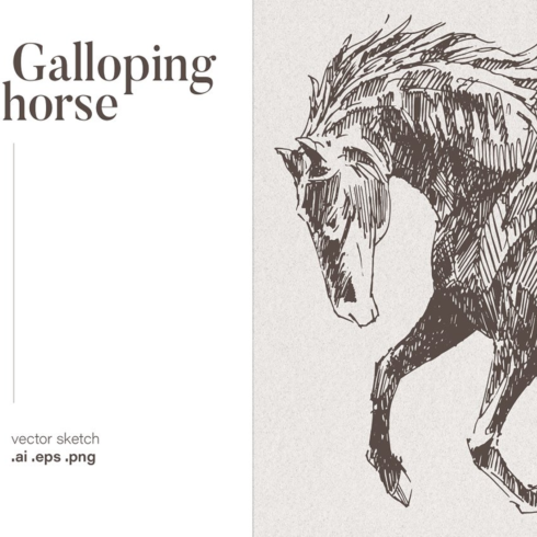 Images preview sketch of a galloping horse.