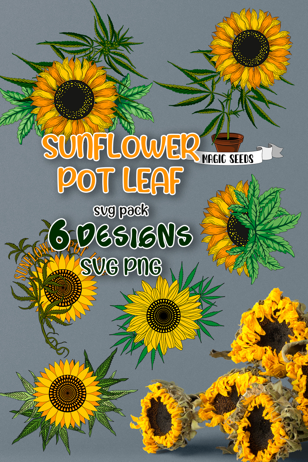 Illustrations sunflower pot leaf svg.