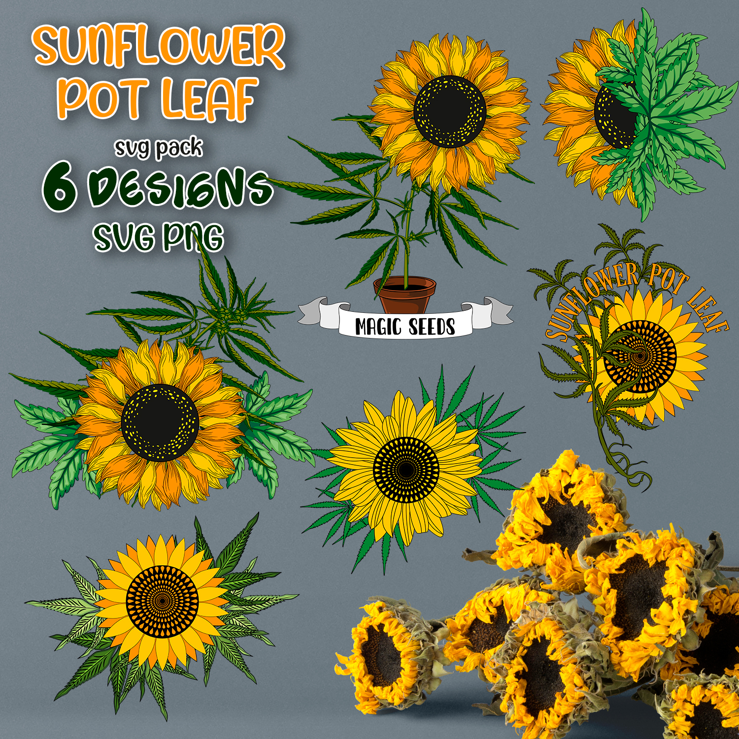 Images with sunflower pot leaf svg.