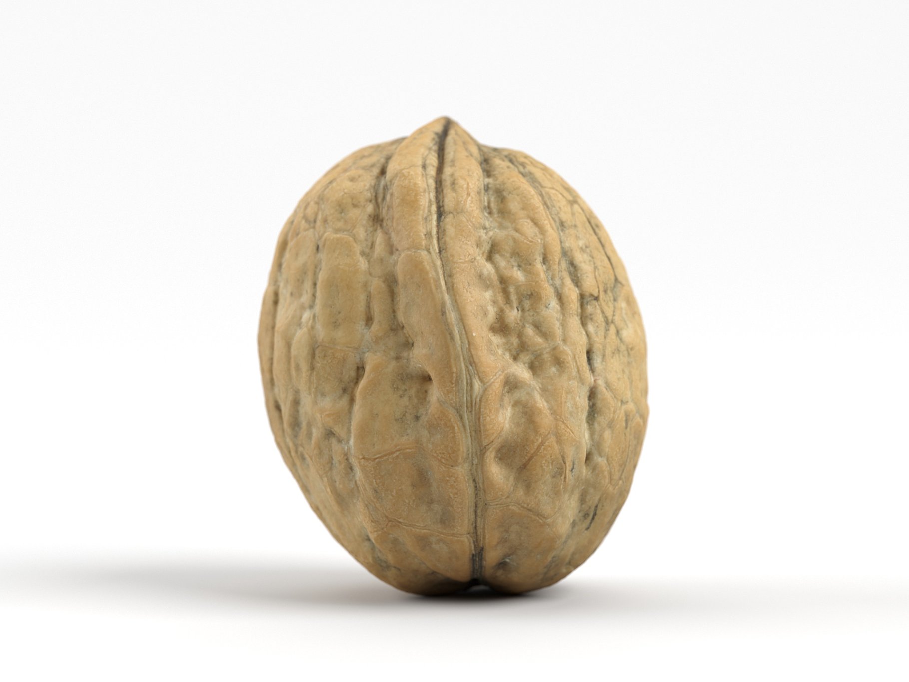 The image of a nut and others.