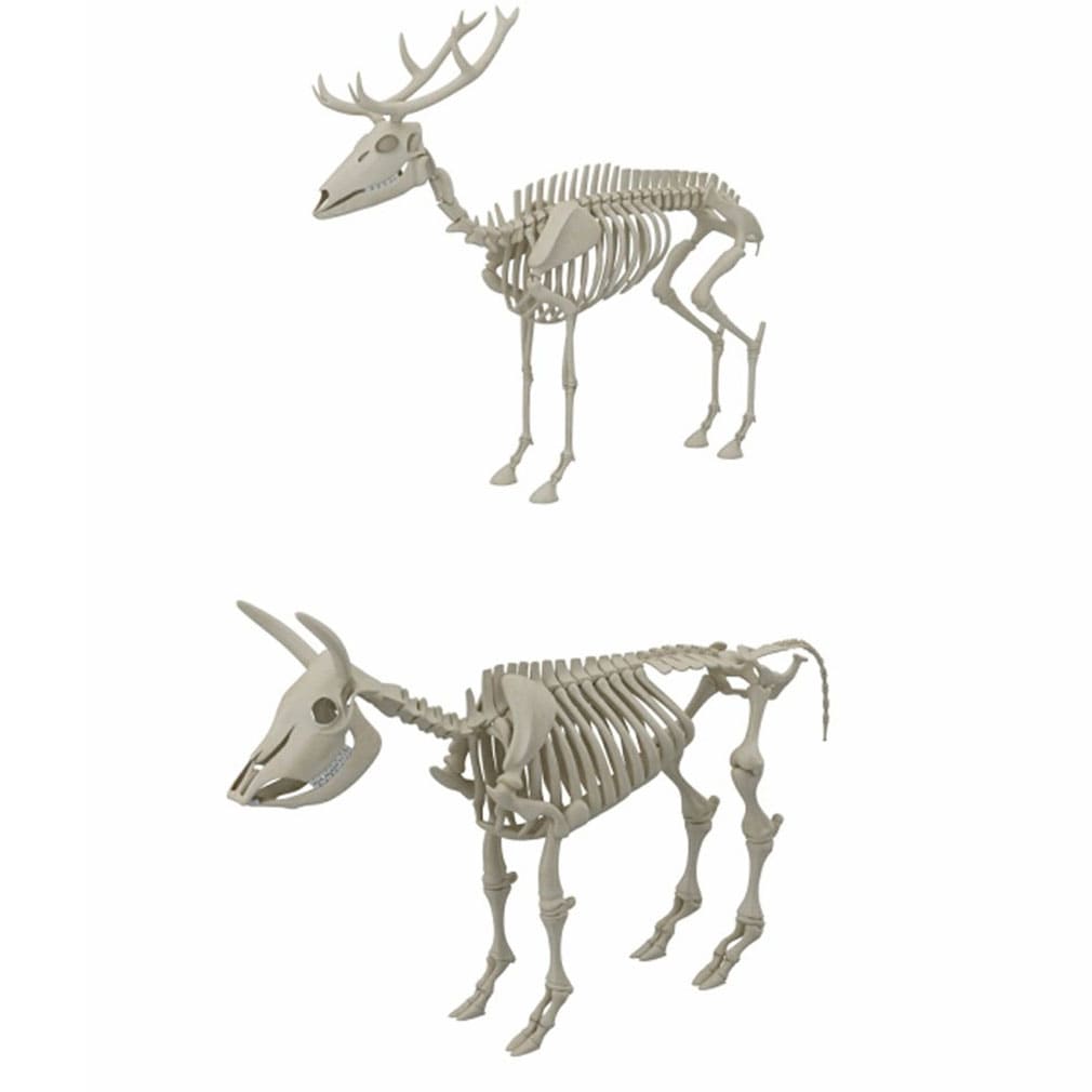 Animal Skeleton Collection 3D model – MasterBundles