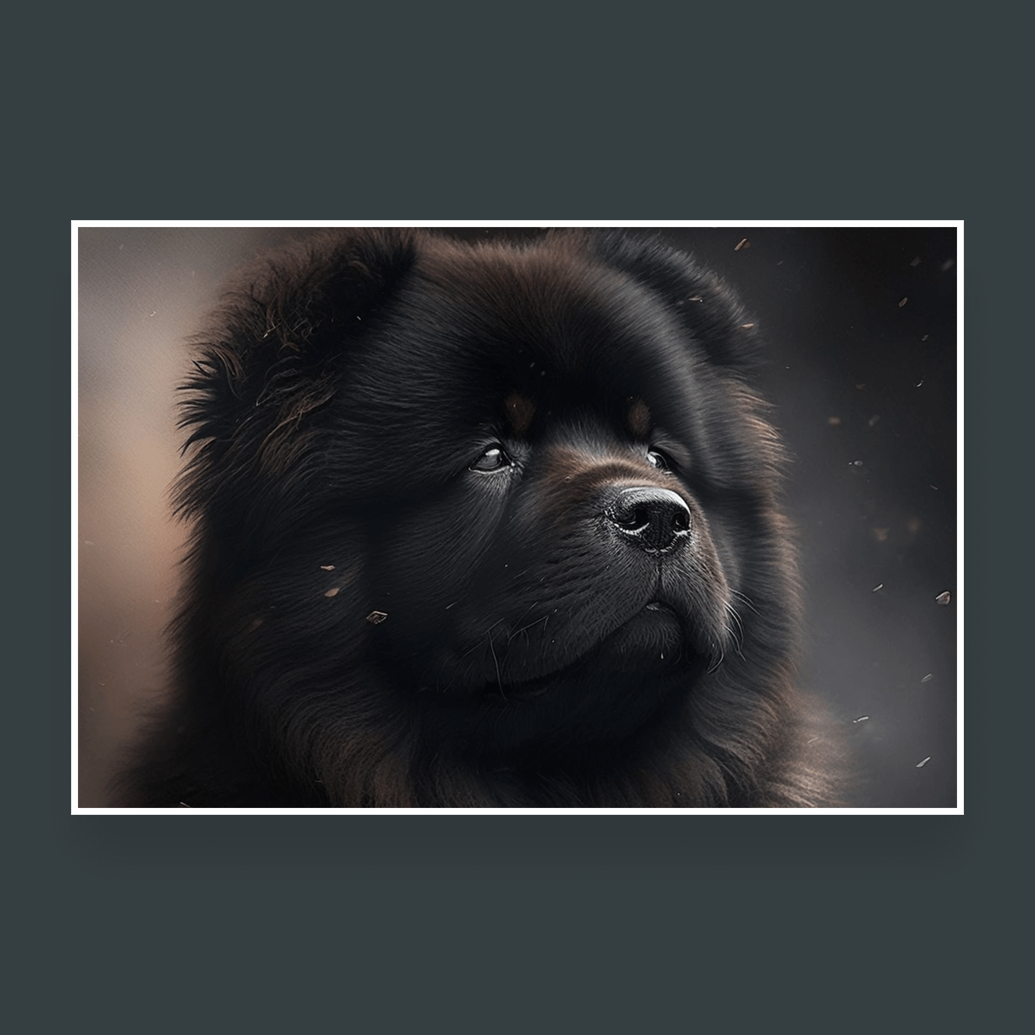 Chow Chow Illustration cover image